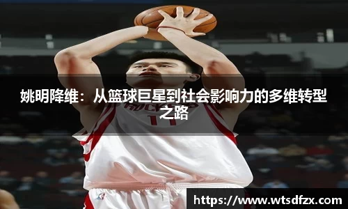 姚明降维：从篮球巨星到社会影响力的多维转型之路