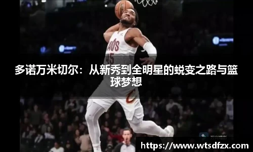 多诺万米切尔：从新秀到全明星的蜕变之路与篮球梦想